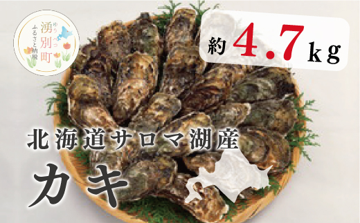 【国内消費拡大求む】北海道サロマ湖産　カキ約4.7kg