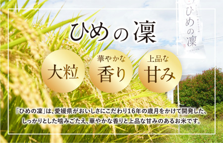 【令和7年産】【2025年11月10日から順次発送】今治産 米（ひめの凜）5kg【VB01580】米 お米 コメ おこめ 白米 精米 ごはん ご飯 ひめの凜 愛媛県産 今治産 米