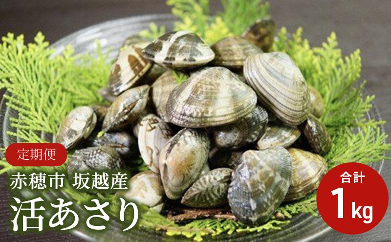 
            2026年３月上旬順次出荷開始【定期便３ヶ月連続お届け】兵庫県 赤穂市 坂越産 活あさり 1kg
          