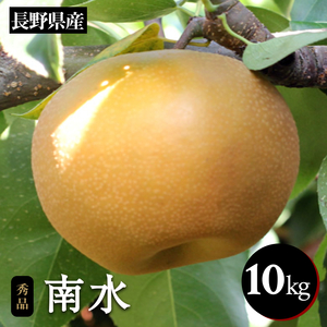 ジューシーで甘い!長野県産 なし ( 南水 ) 約10キロ 秀品〈2026年9月中旬～10月中旬発送〉| 長野県 飯田市