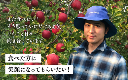 12月上旬～発送　 訳あり ぐんま名月・葉とらずサンふじ詰め合わせセット約3kg(家庭用)【なるみ農園・青森りんご・平川市産・詰め合わせ・数量限定】