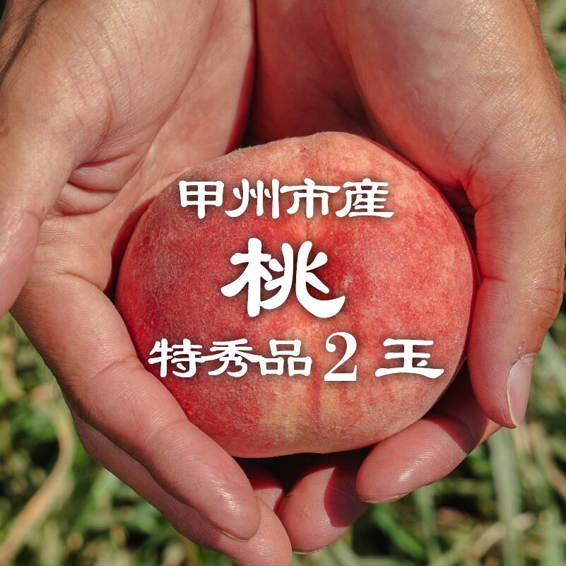 【ふるさと納税】 桃 果物 特秀品 2玉 もも 白鳳系 白桃系 2025年発送 産直 産地直送 果実 フルーツ くだもの 甲州市 山梨県 数量限定 期間限定 厳選 旬 6月 8月 発送 ギフト 贈答 家庭用 （PJ） 【A08-166】