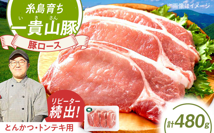 一貴山豚 ロースとんかつ・トンテキ用 計480g(120g×4枚) 糸島市 / いきさん牧場 豚肉 [AGB030] 豚肉 豚 ブランド豚 一貴山豚 ポーク ロース 生姜炒め ポークジンジャー