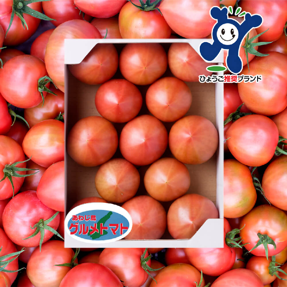 【ふるさと納税】三谷さんの淡路島グルメトマト®1～3kg
