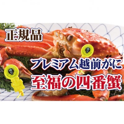 桐箱入り!四番蟹　至福のプレミアム越前がに × 1杯 ≪浜茹で≫【11月発送分】【配送不可地域：離島】【1264263】