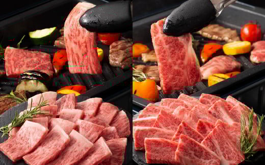 熊本黒毛和牛「藤彩牛」厳選3種の食べ比べセット計700g	《30日以内に出荷予定(土日祝除く)》