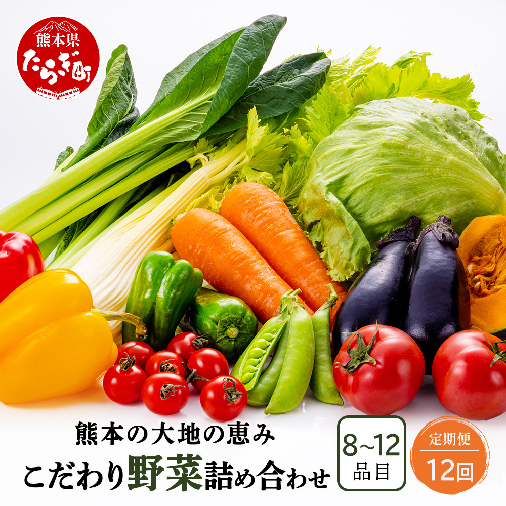 【定期便12回】熊本の大地の恵み 旬の こだわり野菜詰め合わせセット 8~12品 （3~4名様向け）12カ月配送 獲れたて 新鮮 野菜 セット 詰め合わせ 詰合せ 定期便 産地 直送 国産 季節 旬野菜 家族 ファミリー 多良木町 024-0812