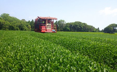 【1週間以内発送】【100％ 有機オーガニック】 有機緑茶 飲みくらべ 各80g ５点セット 緑茶 茶葉 お茶 オーガニックティー  五島市/グリーンティ五島　[PAV001]スピード発送 最速発送 