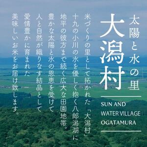 【毎月定期便】秋田県産あきたこまち無洗米10kg(5kg×2)全12回【配送不可地域：離島・沖縄県】【4072898】
