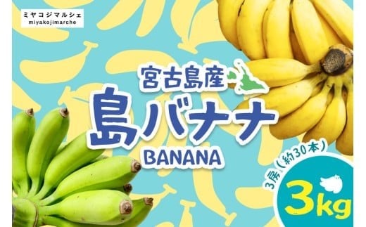 
JH008　宮古島産バナナ3㎏【（株）フラモン】
