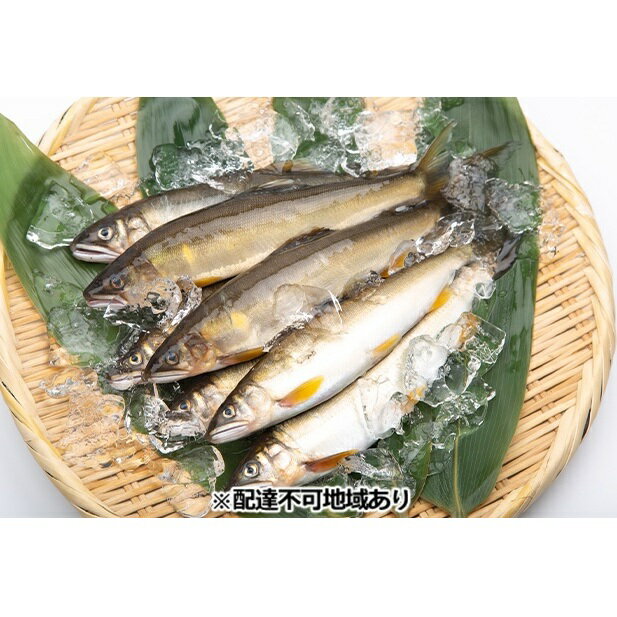 【ふるさと納税】 天然鮎 約800g 10尾前後 国産 島根県産 邑智郡 美郷町 魚介類 魚 あゆ アユ 天然 塩焼き 煮びたし 冷蔵 特産品 お取り寄せ グルメ