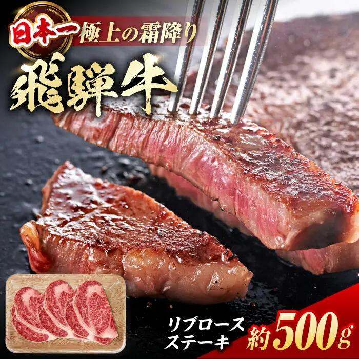 飛騨牛 ステーキ用計500g / 浅井商店[AWBJ007] 飛騨牛