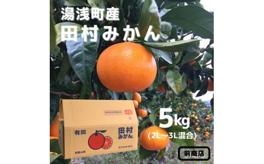 
                  【2026年先行予約】【産地直送】和歌山 湯浅町産 田村みかん  5kg  2L～3Lサイズ混合_BL6015n
                