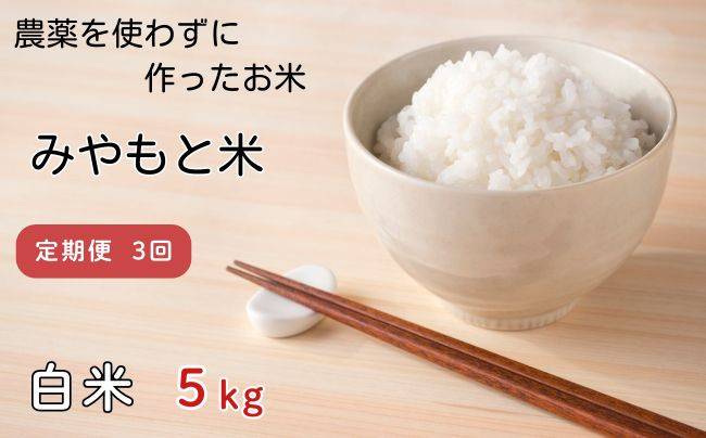 
            【定期便3回】農薬を使わずに作ったお米　みやもと米（白米）　5kg
          