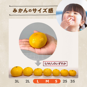 MK1057_【2025年先行予約】ゆら早生 みかん 箱込 2.5kg ( 内容量 2.3kg ) S M Lサイズのいずれか 秀品 優品 混合 有田みかん 和歌山県産
