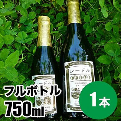 【ふるさと納税】シードルフルボトル 750ml　 お酒 洋酒 スパークリングワイン リンゴ フルーツ