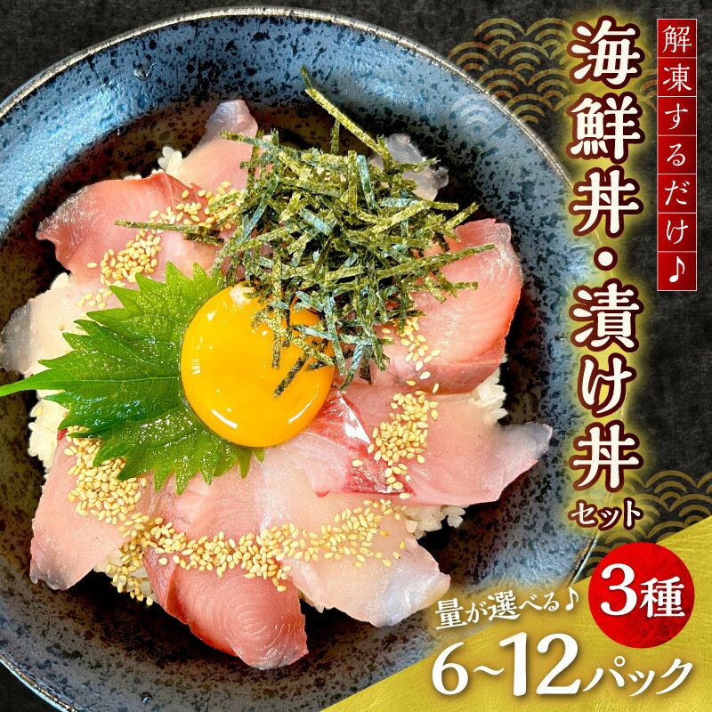 【ふるさと納税】浜田の海鮮丼・漬け丼おまかせ3種セット【6パック～12パック】選べる 内容量 海鮮漬け 丼 3種セット 小分け 簡単 簡単調理 冷凍 ふるさと納税 魚