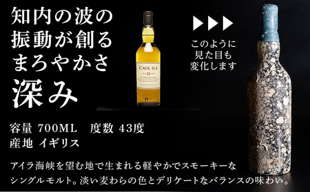 【ふるなび限定・2023年引き揚げ】知内海底熟成ウイスキー2本 Aセット