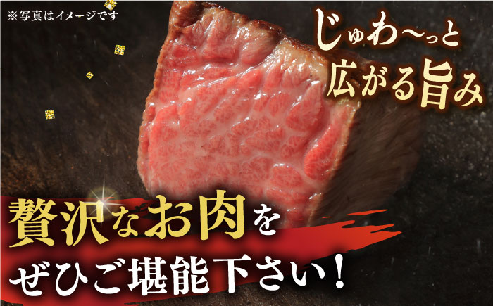 【6回定期便】 長崎和牛 A5ランク 特選 サーロインステーキ 4枚 計1kg 《小値賀町》【株式会社 OGAWA】 [DBJ016] 肉 和牛 黒毛和牛 サーロイン ステーキ A5 贅沢 [DBJ0