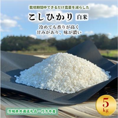 ふるさと納税 潮来市 令和8年産新米　栽培期間中できるだけ農薬を減らした【こしひかり】白米5kg茨城共通返礼品・行方産