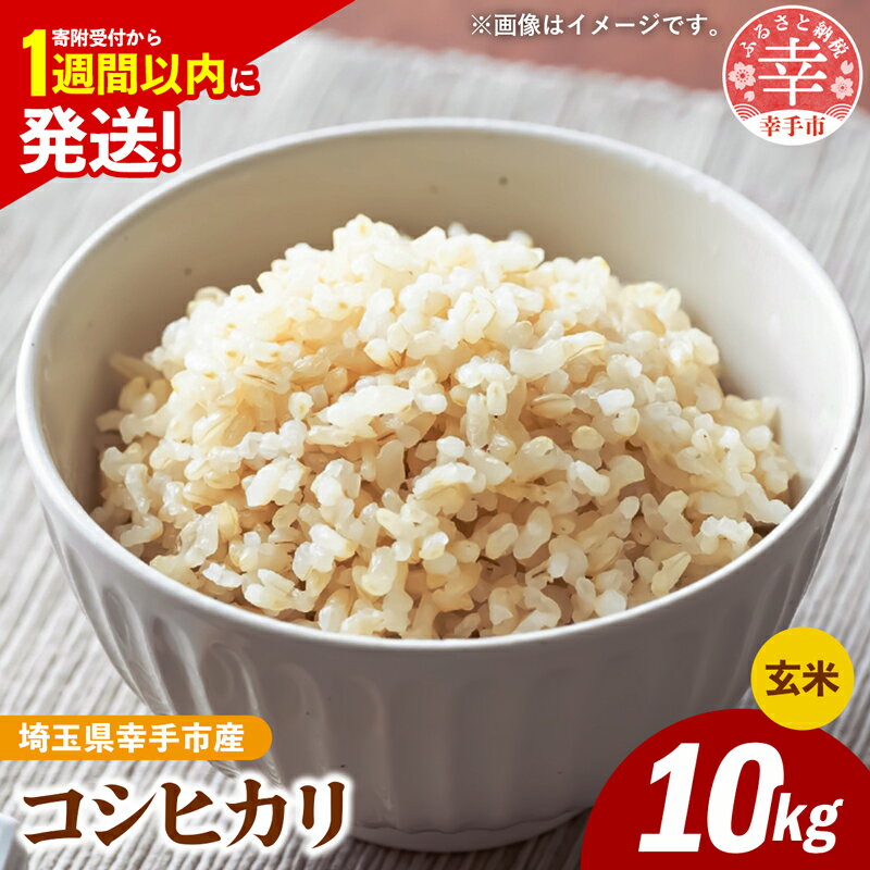 【ふるさと納税】令和6年産 幸手市産 コシヒカリ 玄米10kg 色彩選別済 Brown Rice - お米 米 こしひかり 玄米 10kg 埼玉県 幸手市【価格改定】