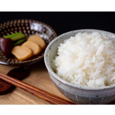 ふるさと納税 山形村 【粘りと甘みを味わう】令和7年産 長野県山形村産 コシヒカリ 精米10kg
