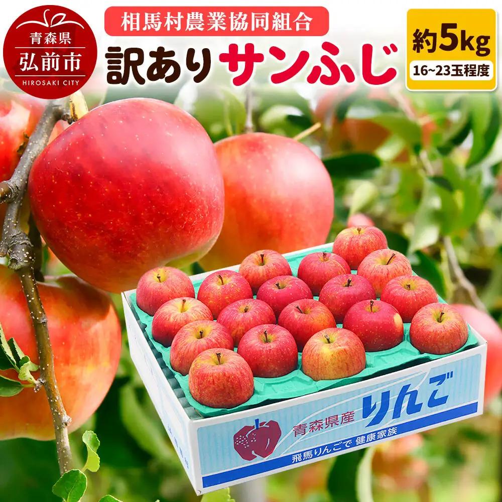 りんご 訳あり サンふじ 約5kg 【2月発送】 サンふじ