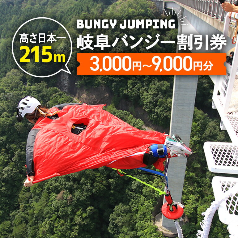 日本一 バンジージャンプ 高さ215m 体験割引チケット 9,000円分 岐阜バンジー