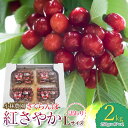 【ふるさと納税】【令和7年産 先行予約】さくらんぼ 紅さやか Lサイズ バラ詰め 2kg（250g×4P×2）【訳あり】 山形県鶴岡市産