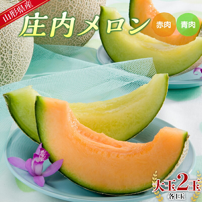 【ふるさと納税】 【先行予約 2025年度発送】山形県産 庄内メロン （青肉＆赤肉 MIX）大玉2玉入（各1玉） FSY-0744