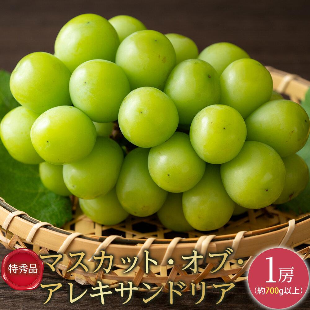 【ふるさと納税】ぶどう 2026年 特秀品 マスカット ・オブ・アレキサンドリア 1房700g以上 マスカット ブドウ 葡萄 岡山県産 国産 フルーツ 果物 ギフト | フルーツ 果物 くだもの 食品 人気 おすすめ 送料無料