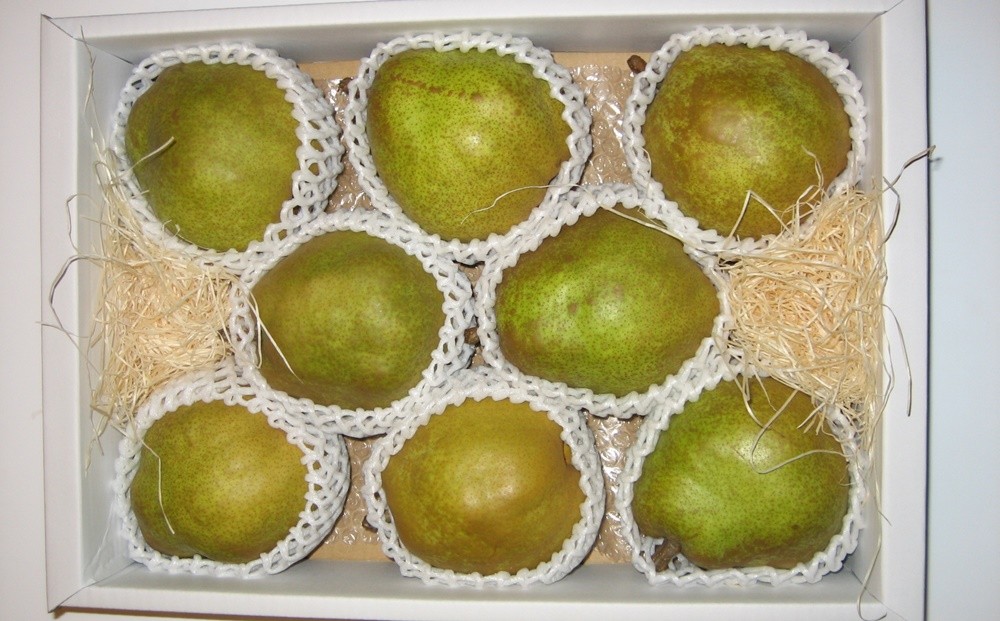 
                  西洋梨（ラ・フランス）３ｋｇ　大玉　0011-2605
                