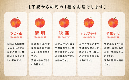  《2025年9月下旬以降発送》羽山りんご品種おまかせ(早生・中早生)5Kg りんご リンゴ 林檎 国産りんご フルーツ 果物 人気 ランキング おすすめ ギフト 故郷 ふるさと 納税 福島 ふくしま