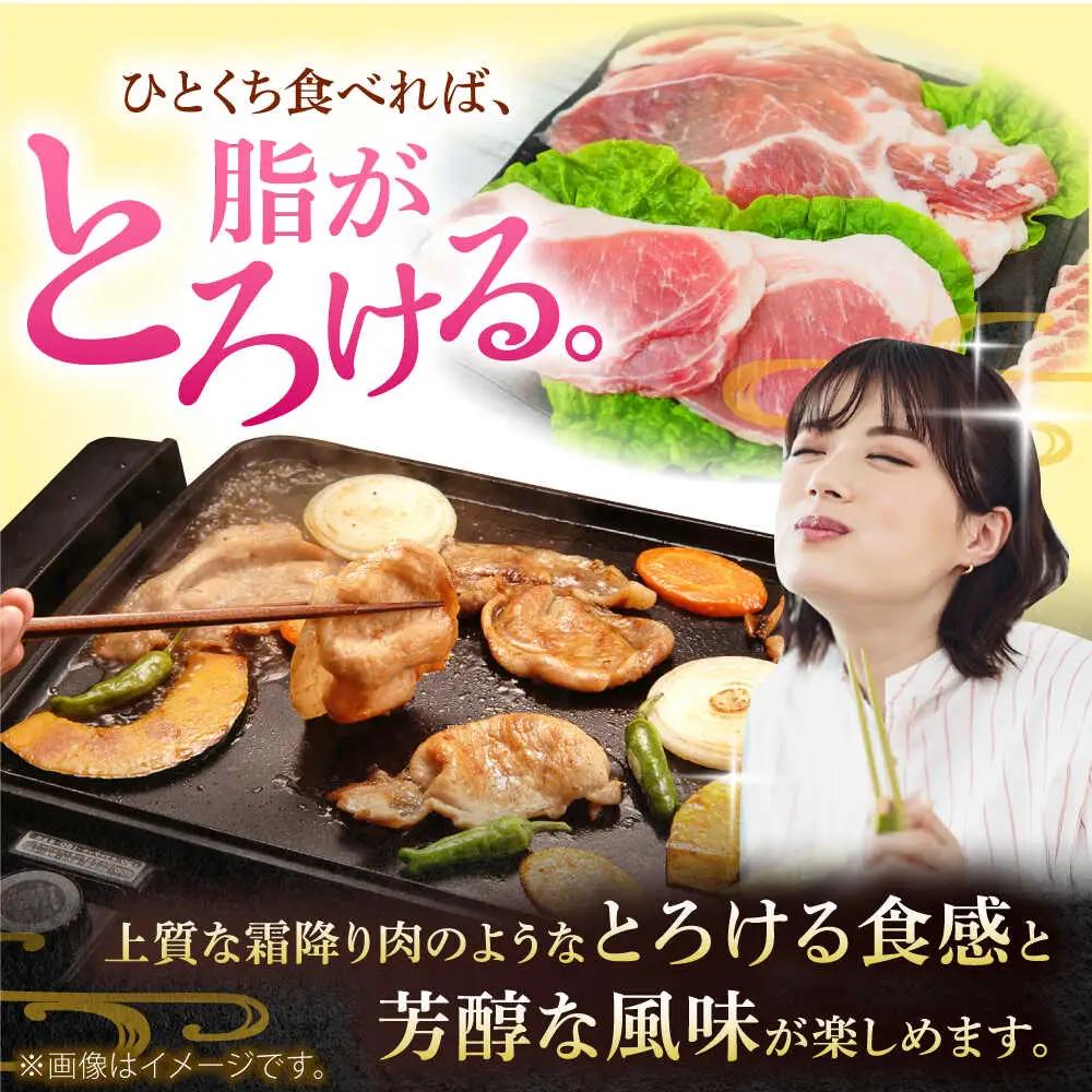 豚肉焼肉セット200g×各6P 豚肉 小分け BCAJ002