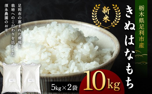 令和7年産 もち米 栃木県足利市産 きぬはなもち10kg〈5kg×2袋〉 もち米 餅 米 こめ  食品 栃木県 足利市 F7Z-1822
