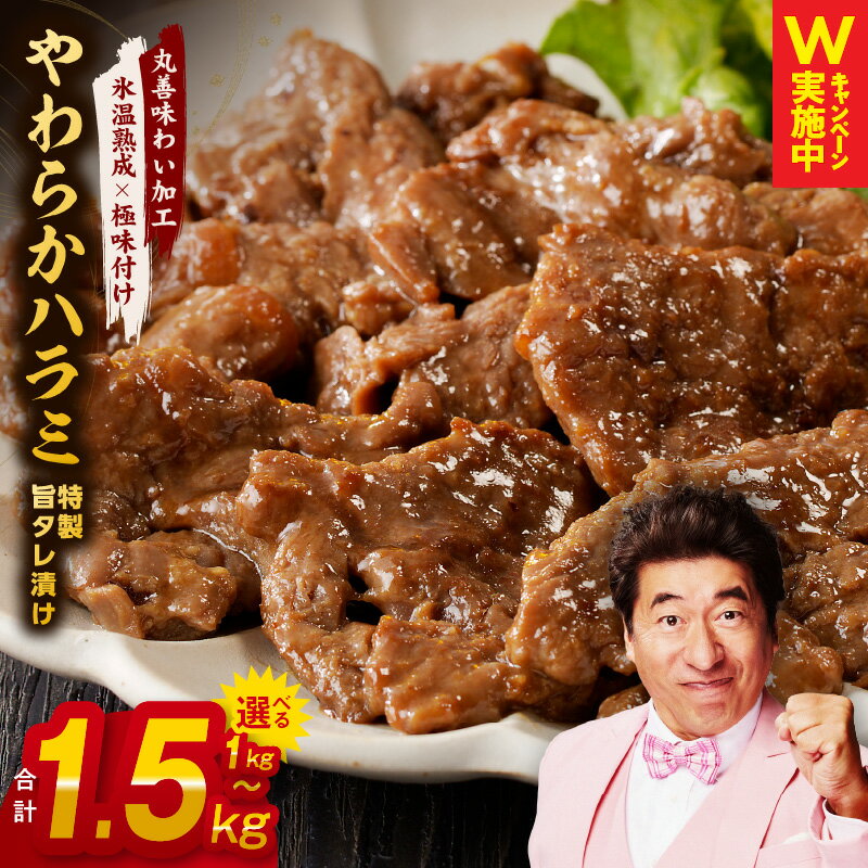 【ふるさと納税】【訳あり】 やわらかハラミ 1kg / 1.5kg 特製旨タレ漬け 味付き 不揃い 牛肉 【氷温熟成×極味付け】 牛 ハラミ タレ漬け 焼肉 BBQ バーベキュー 定番 簡単 焼くだけ 旨味 氷温熟成牛 牛肉 熟成肉 小分け 氷温熟成 作り方 限定 肉の泉佐野 丸善CP