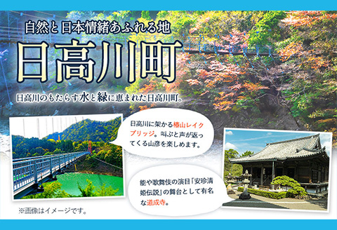 日高川町内の観光施設で利用できる「利用券」3,000円(500円券×6枚)きのくに中津荘《30日以内に出荷予定(土日祝除く)---iwshg_kfknkr_30d_23_12000_6i---