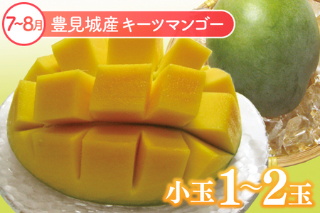 厳選！沖縄フルーツ定期便（年6回）