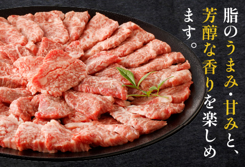 宮崎牛 カルビ 焼肉 500g 牛肉 牛 肉 カルビ 焼肉 焼き肉 やき肉 ヤキ肉