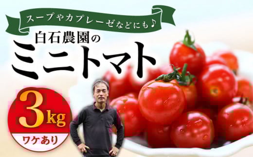 【10月より配送開始】 訳あり ミニ トマト 約3kg ＜白石農園＞ [CBI003] 西海市産 トマト とまと 野菜 新鮮 旬 トマト 