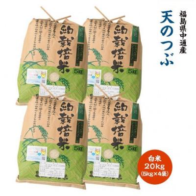 ふるさと納税 須賀川市 令和7年産須賀川市産天のつぶ　精米20kg(5kg×4袋)