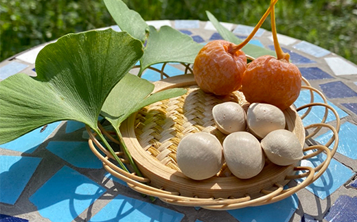 桃山ぶどう園の『ぎんなん(殻付き)』Ｌサイズ　約1kg　※北海道・沖縄・離島への配送不可　※2025年11月上旬頃より順次発送予定