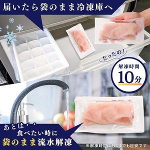 a10-1162　【2025年3月以降順次発送】国産 天然カジキ切り落とし 約100g×10パック