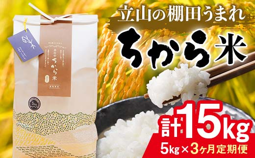 【3回 定期便 】立山のちから米 コシヒカリ 5kg×3回 総計15kg たてやま 米 こめ お米 コメ 精米 白米 こしひかり 美味しい 富山県 立山町 F6T-538