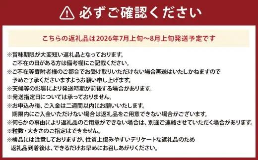 ラビットアイ系 ブルーベリー 約500g × 2パック 合計約1kg くだもの 果物 フルーツ 果実 果汁 果肉 新鮮 国産 岡山県産 旬 ジャム プレゼント ギフト 贈り物 贈答品 贈答 【 202