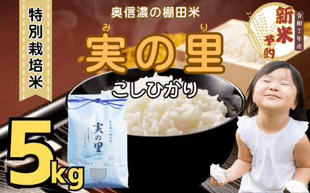 【先行予約】 [ 令和７年産 新米 ] 特別栽培米 『奥信濃の棚田米 実の里』 こしひかり 精米 5㎏ (7-19A) 長野県 飯山市 おすすめ ランキング おいしい 高評価 大人気 こしひかり こしひかり こしひかり こしひかり こしひかり こしひかり