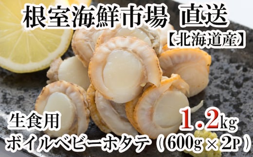 
            A-28118  ＼漁業者応援品／根室海鮮市場＜直送＞ボイルベビーほたて(生食用)600g×2P(60～120玉) ふるさと納税 ホタテ 帆立 ほたて 海鮮
          