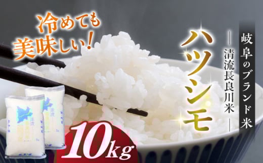 ＼キャンペーン対象／【R7年産】岐阜ハツシモ 10kg 名水100選に選ばれた長良川中流の水で育った「清流長良川米」 ハツシモ はしつも 長良川 清流米 すし飯  冷めても美味しい お米 米 こめ 白米 10kg 10キロ 岐阜市/森ライス [ANCU003]