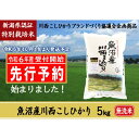 【ふるさと納税】【先行予約】【無洗米】魚沼産川西こしひかり5kg 新潟県認証特別栽培米 令和6年度米＜令和6年10月上旬～発送予定＞　十日町市　お届け：令和6年10月上旬～発送予定