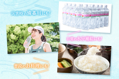 【定期便】 天然シリカ水 細野の天然水 555ml 24本 3回 中硬水 ミネラルウォーター シリカ ケイ素 霧島連山の贈り物 常温保存 備蓄 防災 宮崎県